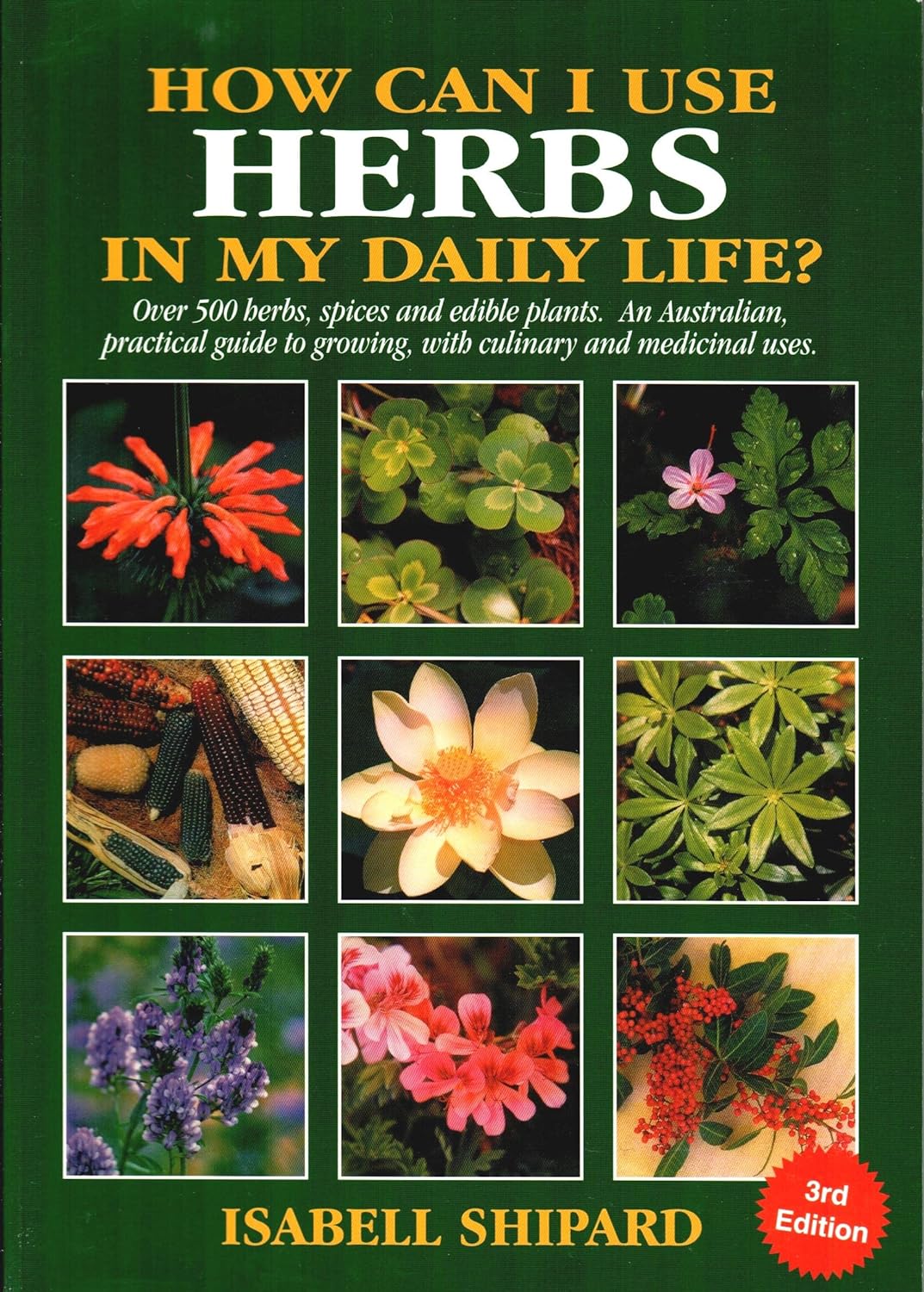 How Can I Use Herbs in My Daily Life?